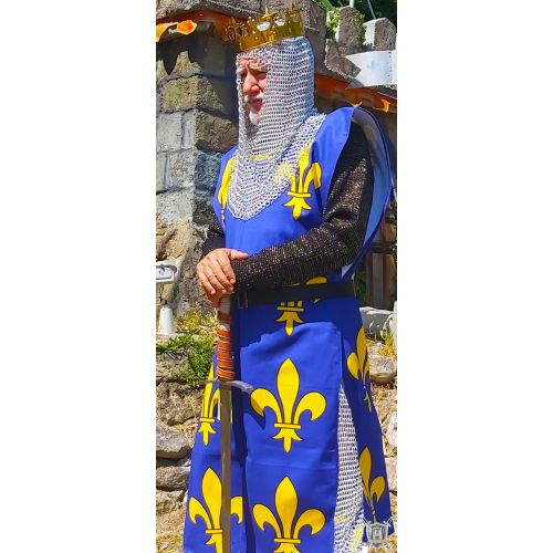 Tabard Royal aux fleurs de lys velours de coton 460gr imprimé haute qualité