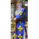 Tabard Royal aux fleurs de lys velours de coton 460gr imprimé haute qualité