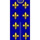 Tabard Royal aux fleurs de lys une exclusivité