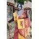 Ensemble tabard + bouclier