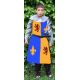 Tabard enfant aux lions