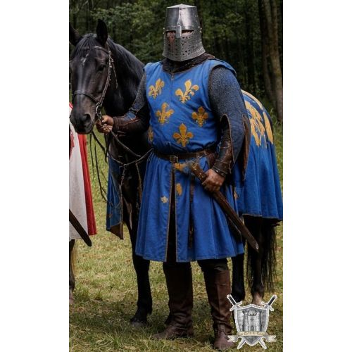 Tabard chevalier du roi