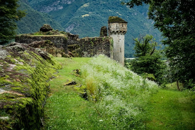ruine chateau medieval